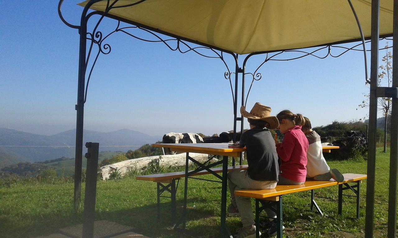 Bed and Breakfast Malga Zebari Velo Veronese Экстерьер фото